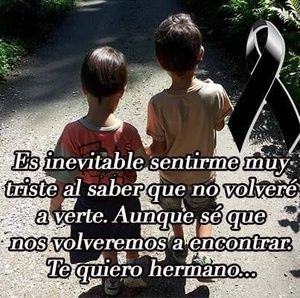 Meet your Posher, Vidal